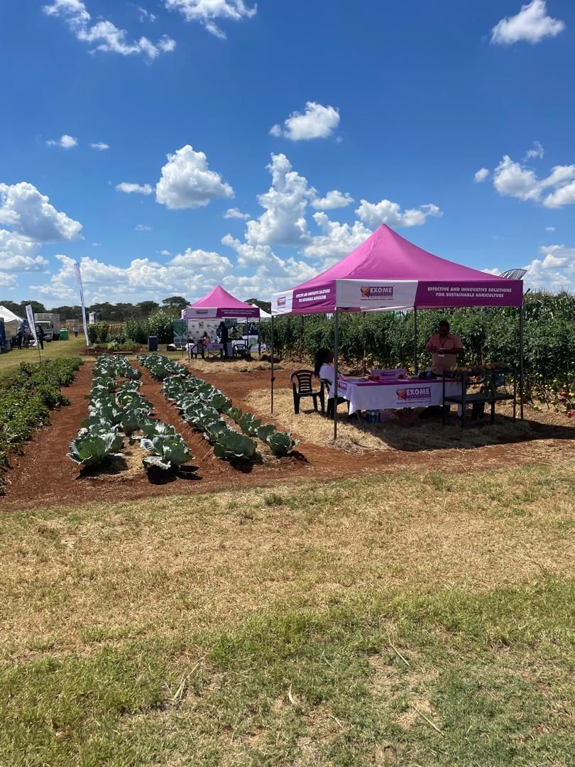 Agri Biotech Insights Blog from Exome Life Sciences