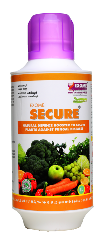 EXOME SECURE INDIA