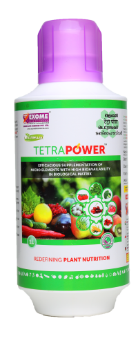 EXOME TetraPOWER