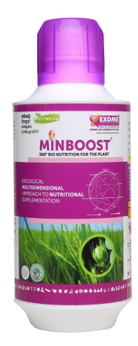 MINBOOST